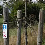 Fetz Loreley Dorscheid