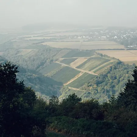Fetz Loreley 3*