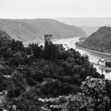 Fetz Loreley 3* Dorscheid
