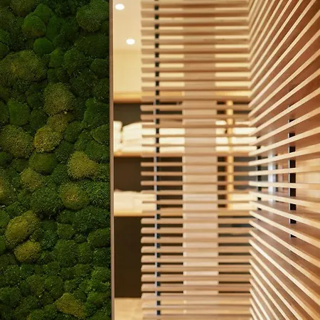 Отель Fetz Loreley 3*