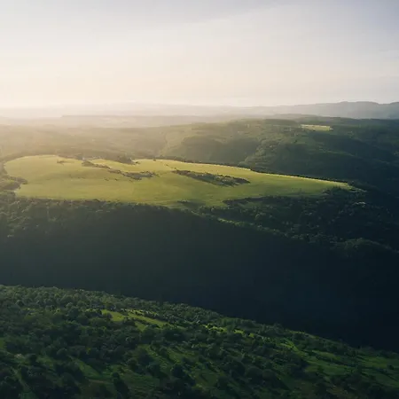 Fetz Loreley 3* Dorscheid