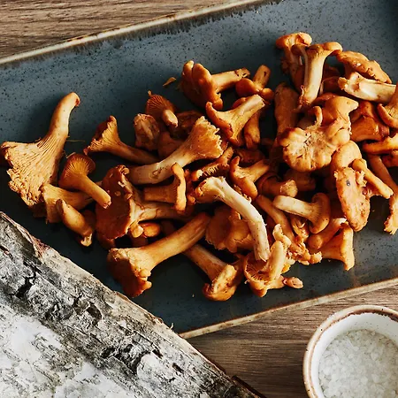 Fetz Loreley Hotel Dorscheid