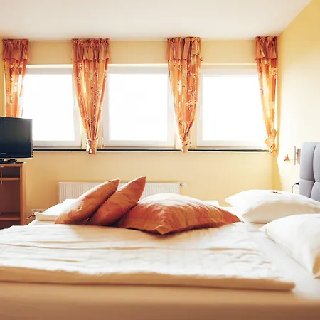 Fetz Loreley Hotel 3*