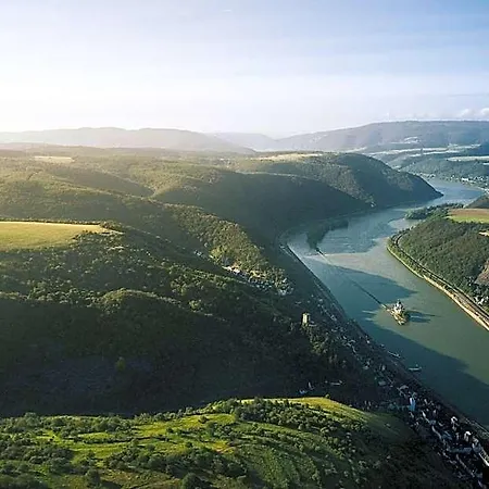 Fetz Loreley
