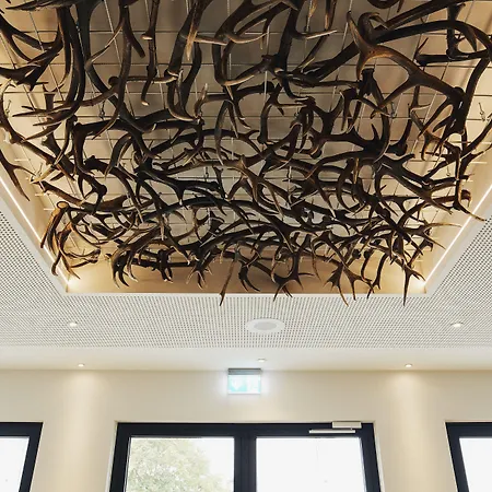 Fetz Loreley Hotel 3*