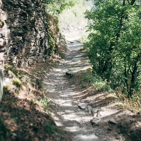 Fetz Loreley Dorscheid