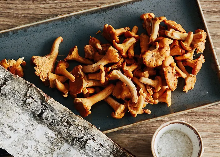 Fetz Loreley Hotel Dorscheid