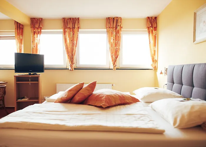 Fetz Loreley Hotel 3*